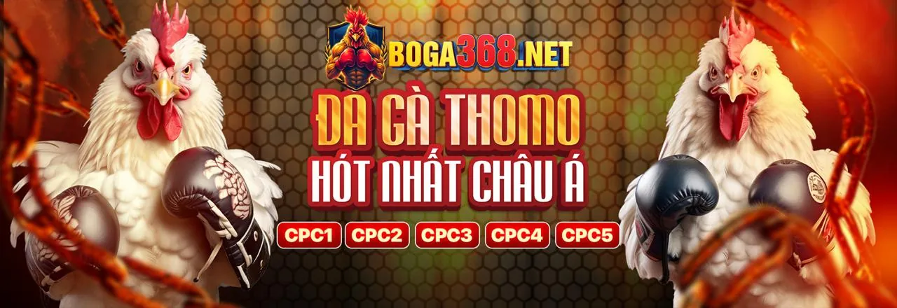 Baccarat tại 33win9